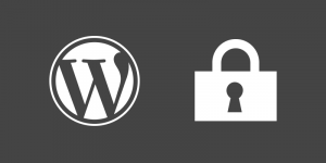 O WordPress é seguro mesmo?