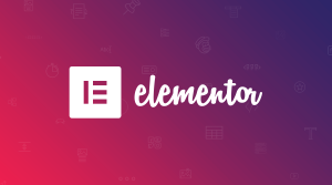 Review: Elementor Page Builder