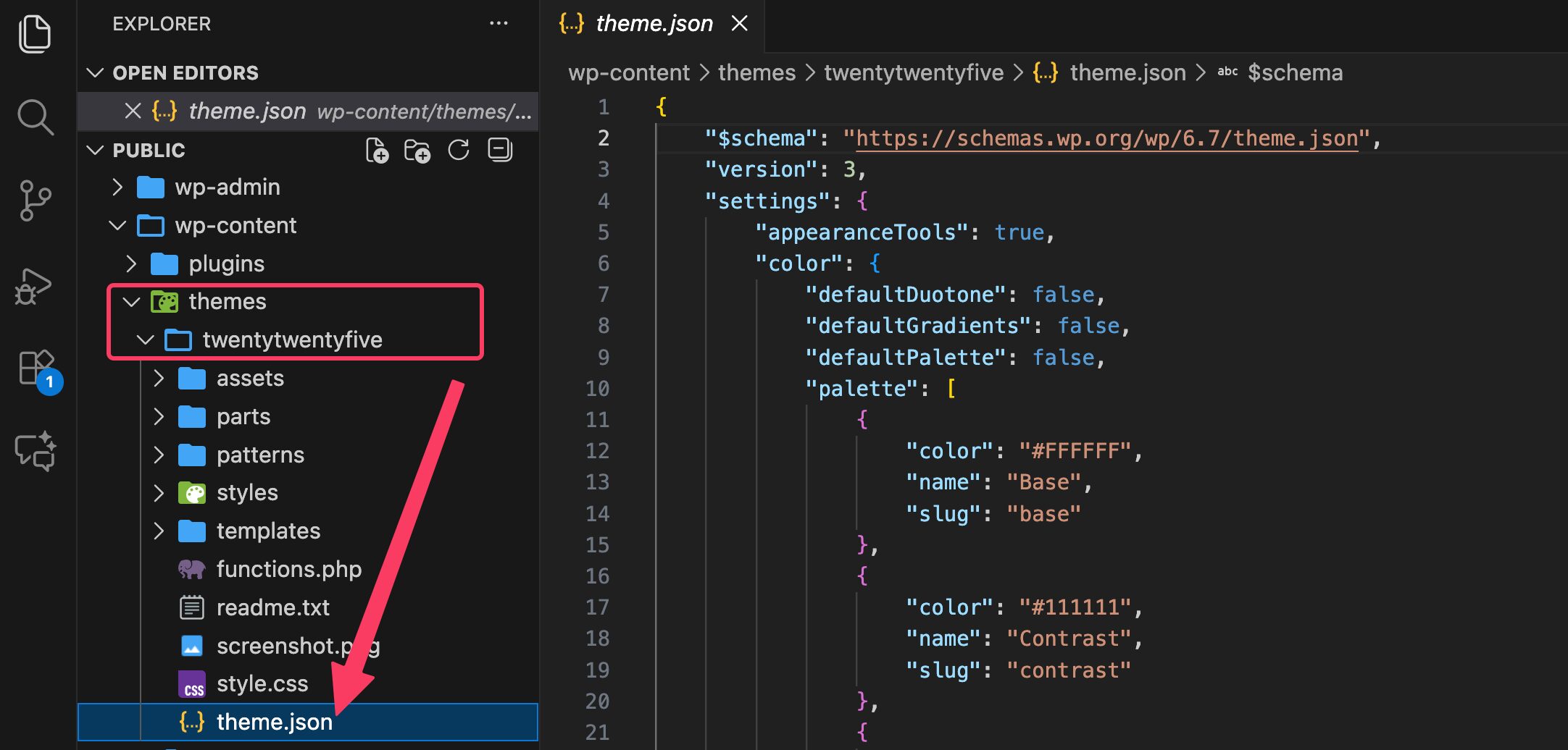 theme json wp